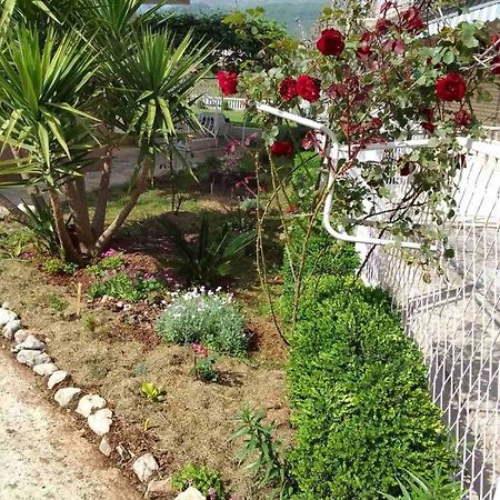 הרצג-נובי Guesthouse Djurisic מראה חיצוני תמונה