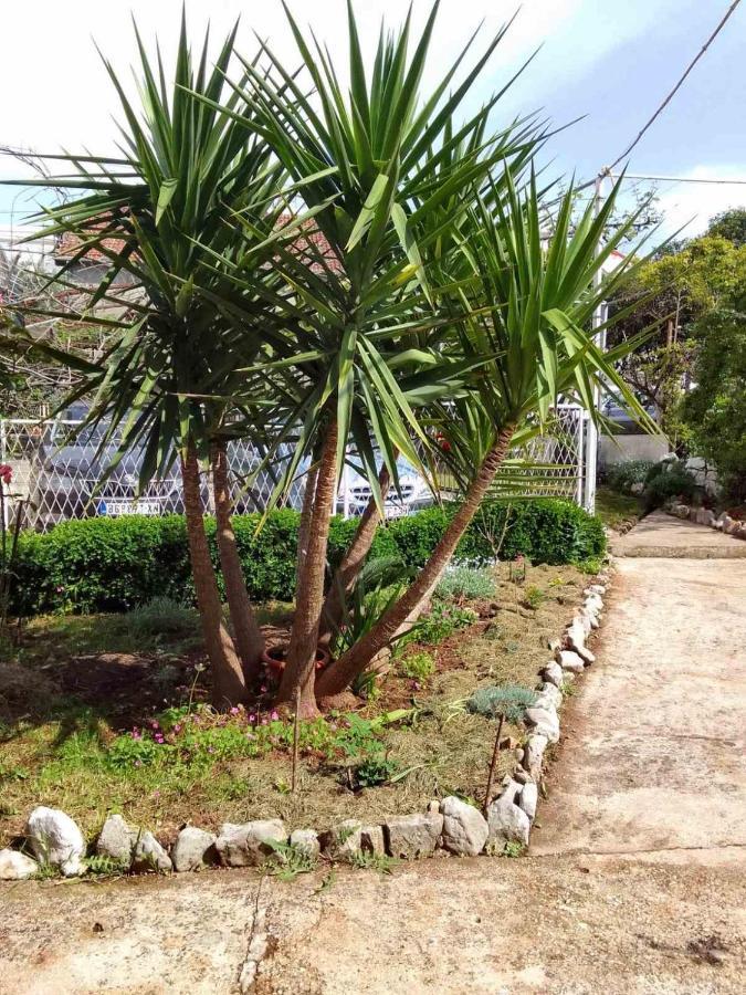 הרצג-נובי Guesthouse Djurisic מראה חיצוני תמונה