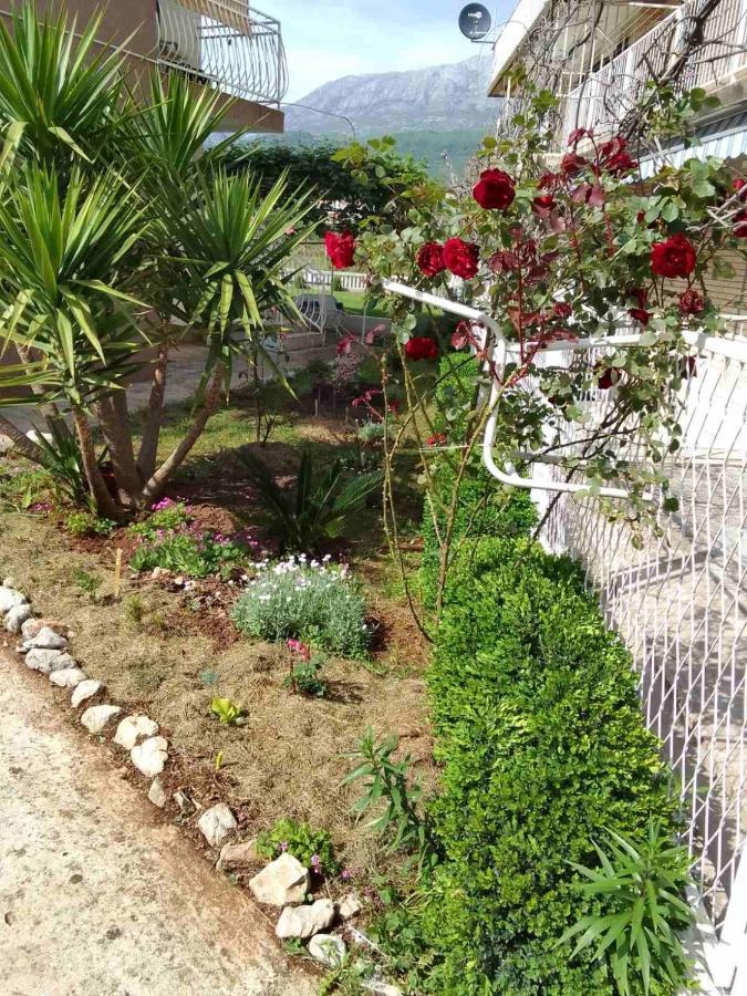 הרצג-נובי Guesthouse Djurisic מראה חיצוני תמונה