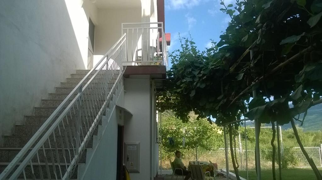 הרצג-נובי Guesthouse Djurisic מראה חיצוני תמונה